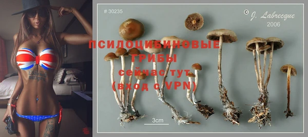 мескалин Алексеевка
