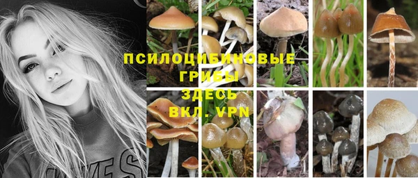метадон Алзамай