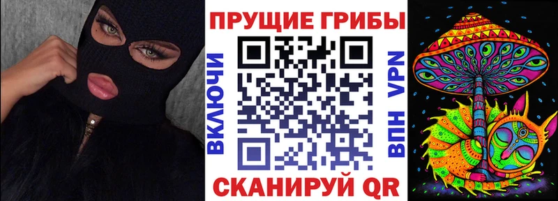 Псилоцибиновые грибы Psilocybine cubensis  купить наркотики сайты  Бабушкин 